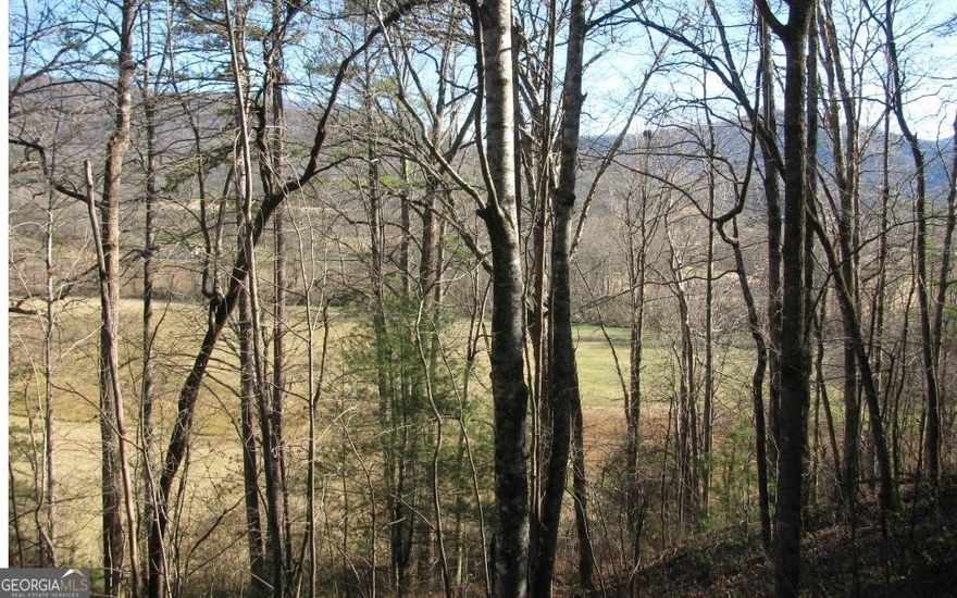 **Wooded building lot with excellent view potential in Pinecrest Subdivision.**Big hardwoods.**Pinecrest is excellent neighborhood very close to Brasstown Valley Resort and Golf Course, Lake Chatuge and The Ridges Resort and Marina.**There is no current soil test for this lot. Soil test will have to be done by prospective Buyer**Seller was informed there is a water line on the lot that was installed in the past.**