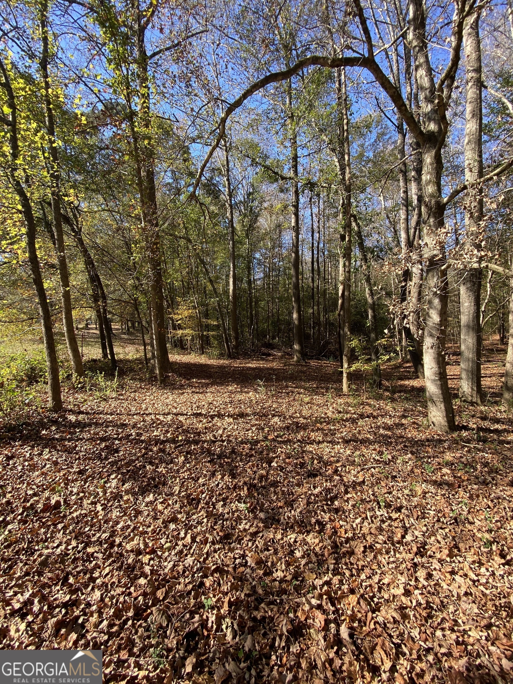 Photo 1 of 16 — 0 Brown Bridge RD, Commerce, GA 30530