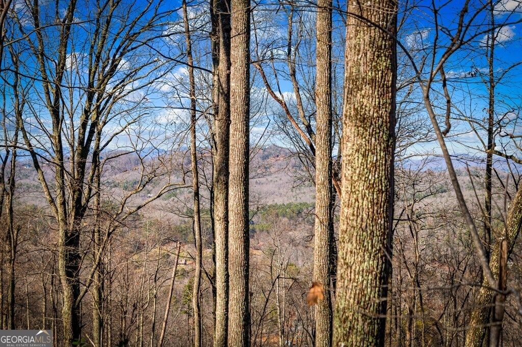 Photo of 1 Scouts Overlook, Morganton, GA 30560 (MLS # 10655236)