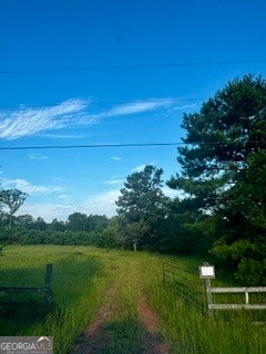 Photo of 1368 Pleasant Grove Road, Yatesville, GA 31097 (MLS # 10818467)