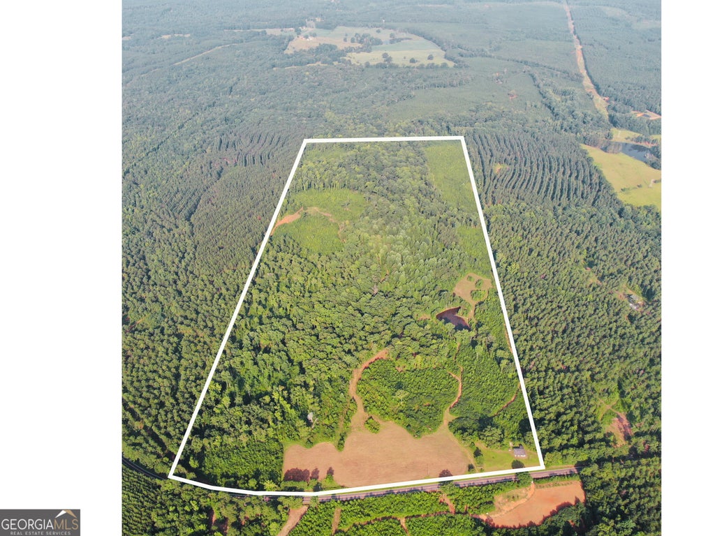 Photo of 1368 Pleasant Grove Road, Yatesville, GA 31097 (MLS # 10818467)