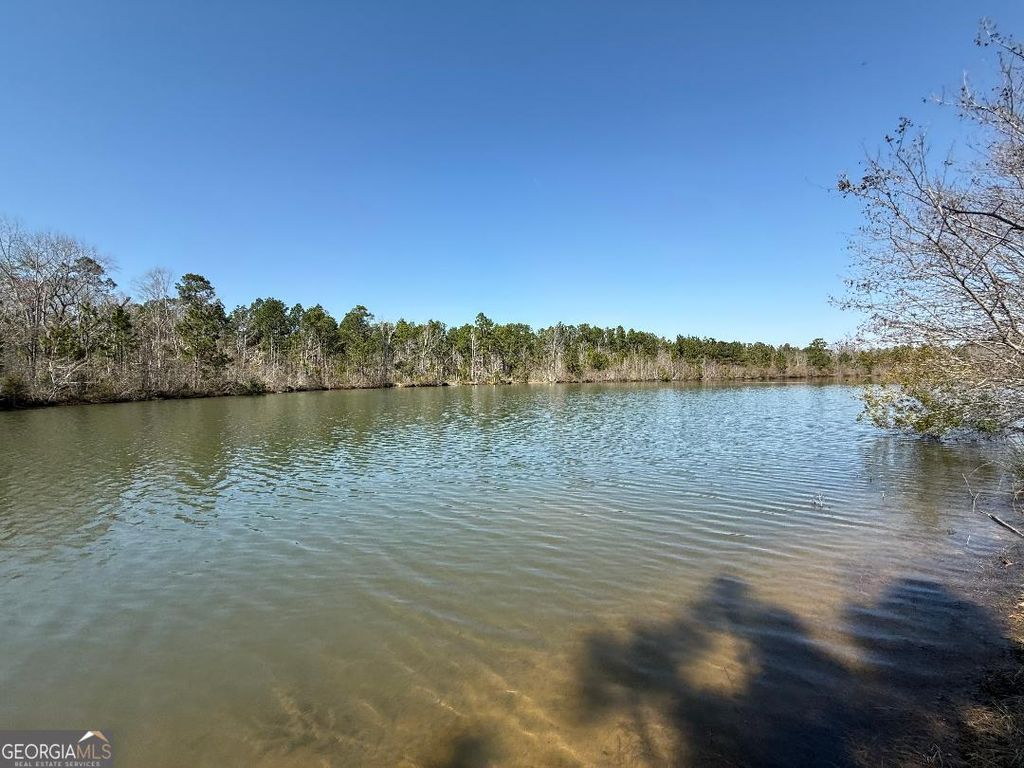 Photo of 0 Bill Glenn Road, Swainsboro, GA 30401 (MLS # 10701403)