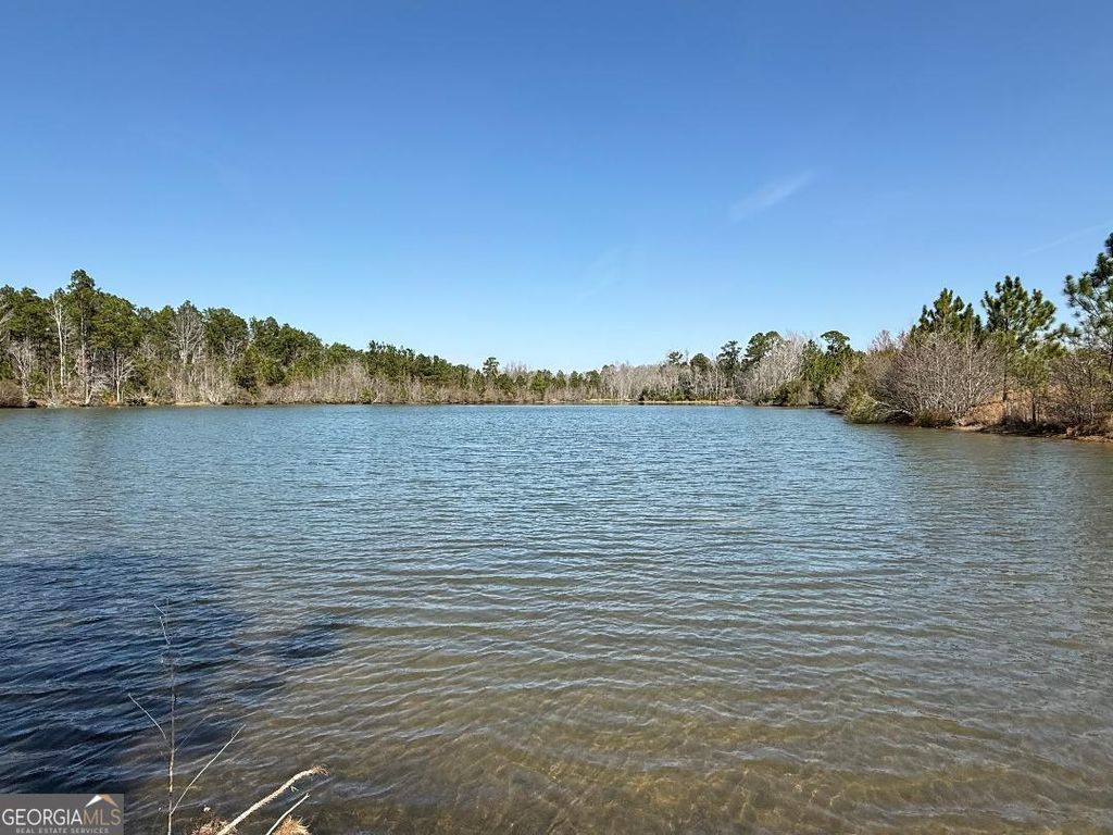 Photo of 0 Bill Glenn Road, Swainsboro, GA 30401 (MLS # 10701403)