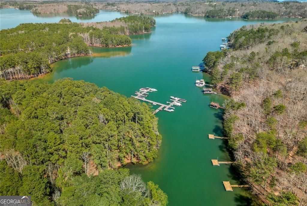 Photo of 3200 Rim Cove Drive #133, Cumming, GA 30041 (MLS # 10722152)