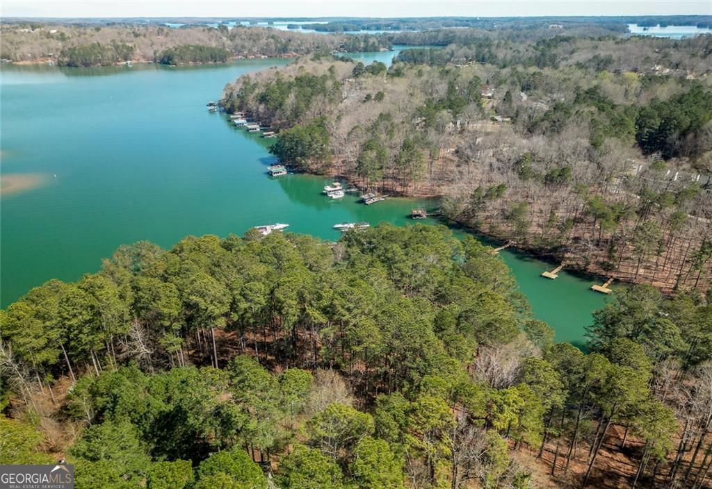 Photo of 3200 Rim Cove Drive #133, Cumming, GA 30041 (MLS # 10722152)