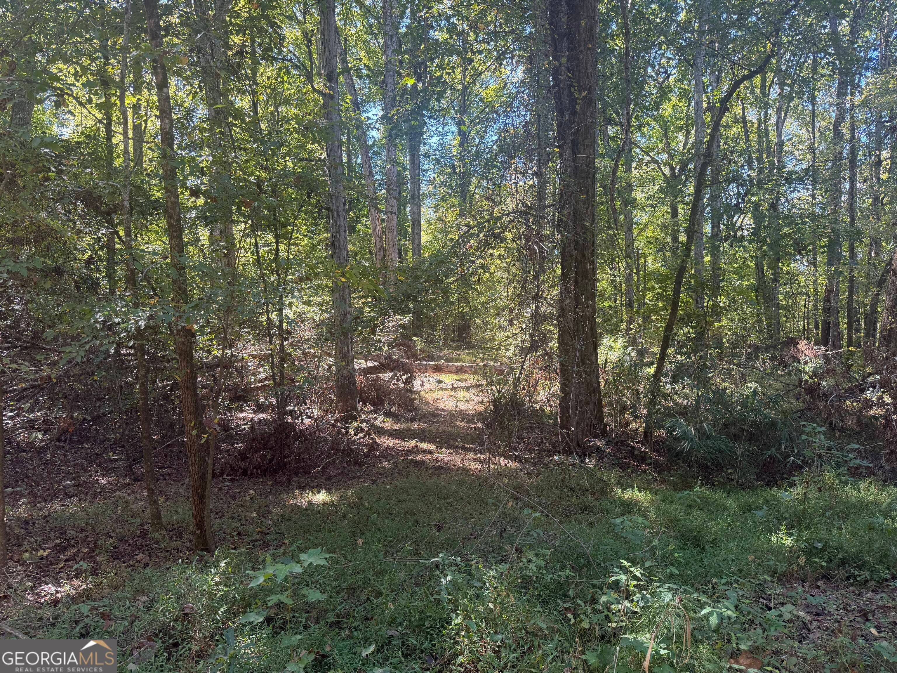0 Gene Smith RD