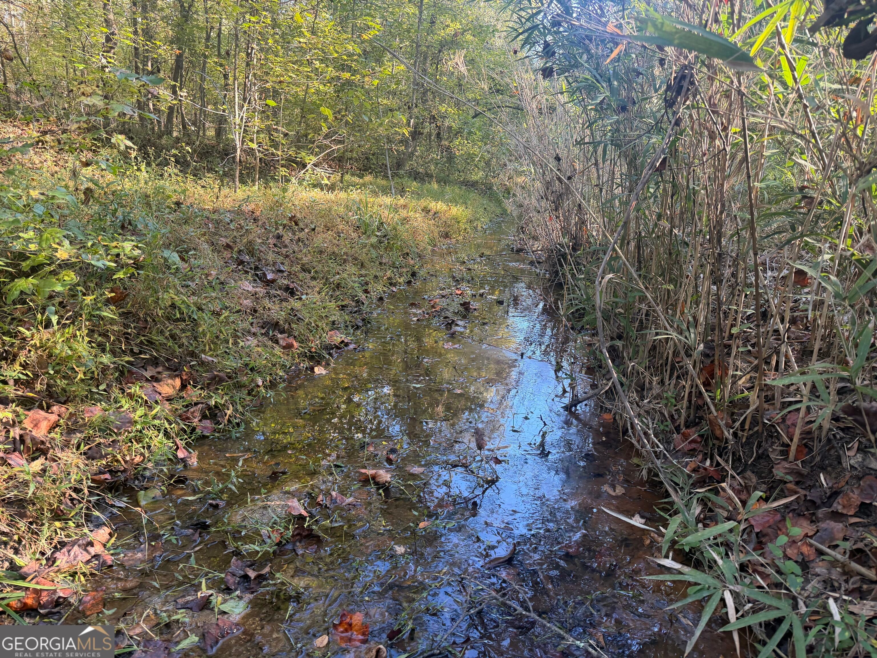 0 Gene Smith RD