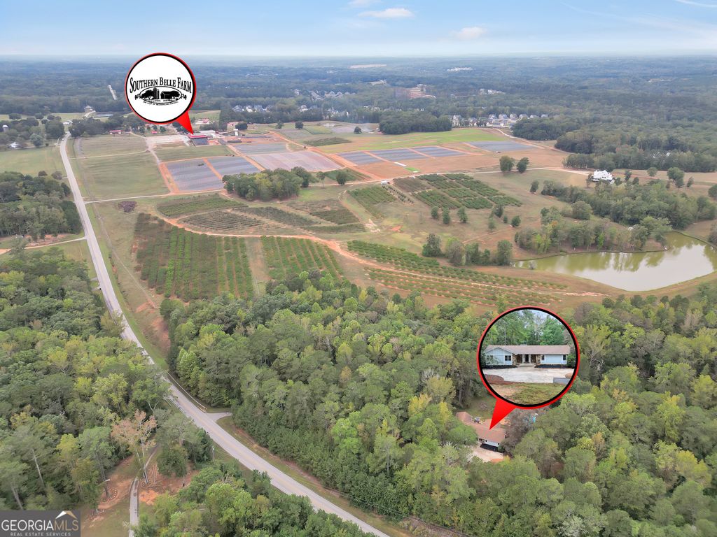 Photo of 2103 Turner Church Road, McDonough, GA 30252 (MLS # 10669545)