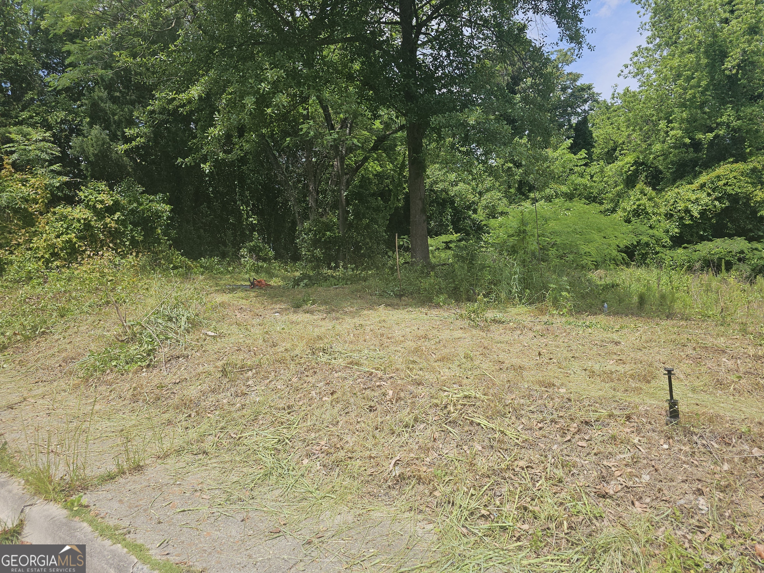 561 Rutherford AVE