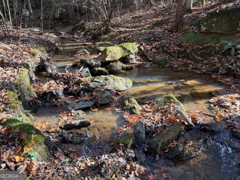 0 Thurman Baccus RD Social Circle GA 30025