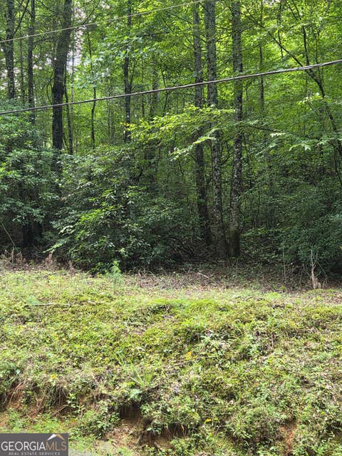 Photo of 00 Chopped Oak, Ellijay, GA 30540 (MLS # 10822660)