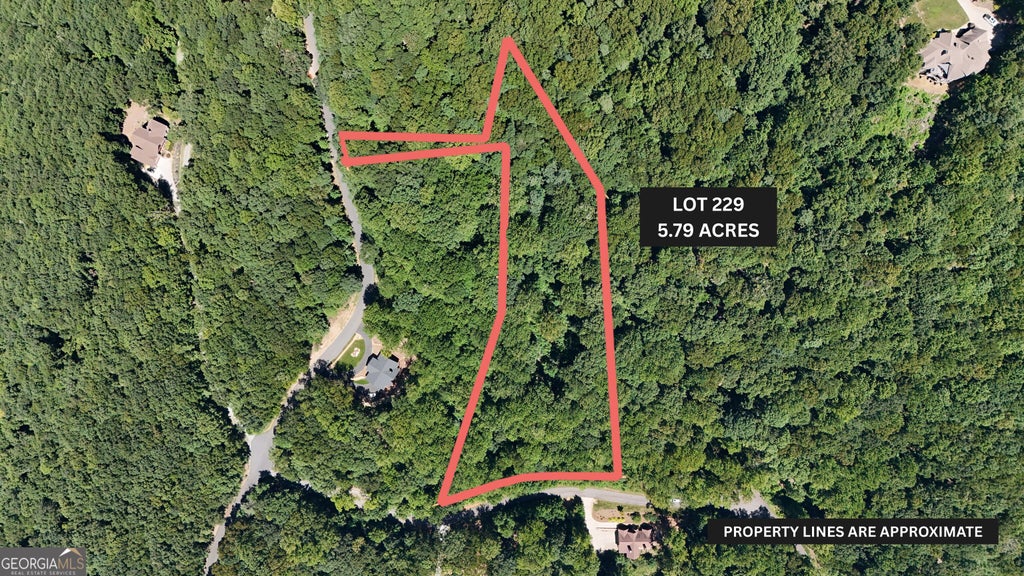 Photo of 229 Stone Cliff Trace, Cleveland, GA 30528 (MLS # 10834887)