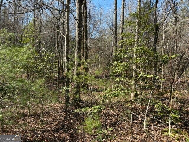 Photo of 343 Hank Fry Rd, Clarkesville, GA 30523 (MLS # 10835562)