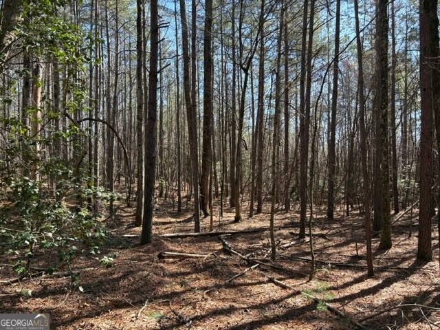 Photo of 343 Hank Fry Rd, Clarkesville, GA 30523 (MLS # 10835562)