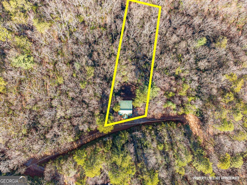 Photo of 515 Wood Sorrel Lane, Clayton, GA 30525 (MLS # 10659017)