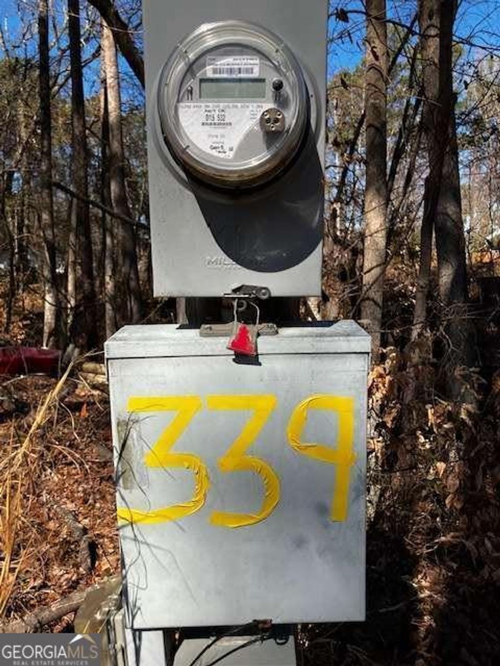 Photo of 339 N Century Drive, Martin, GA 30557 (MLS # 10700568)