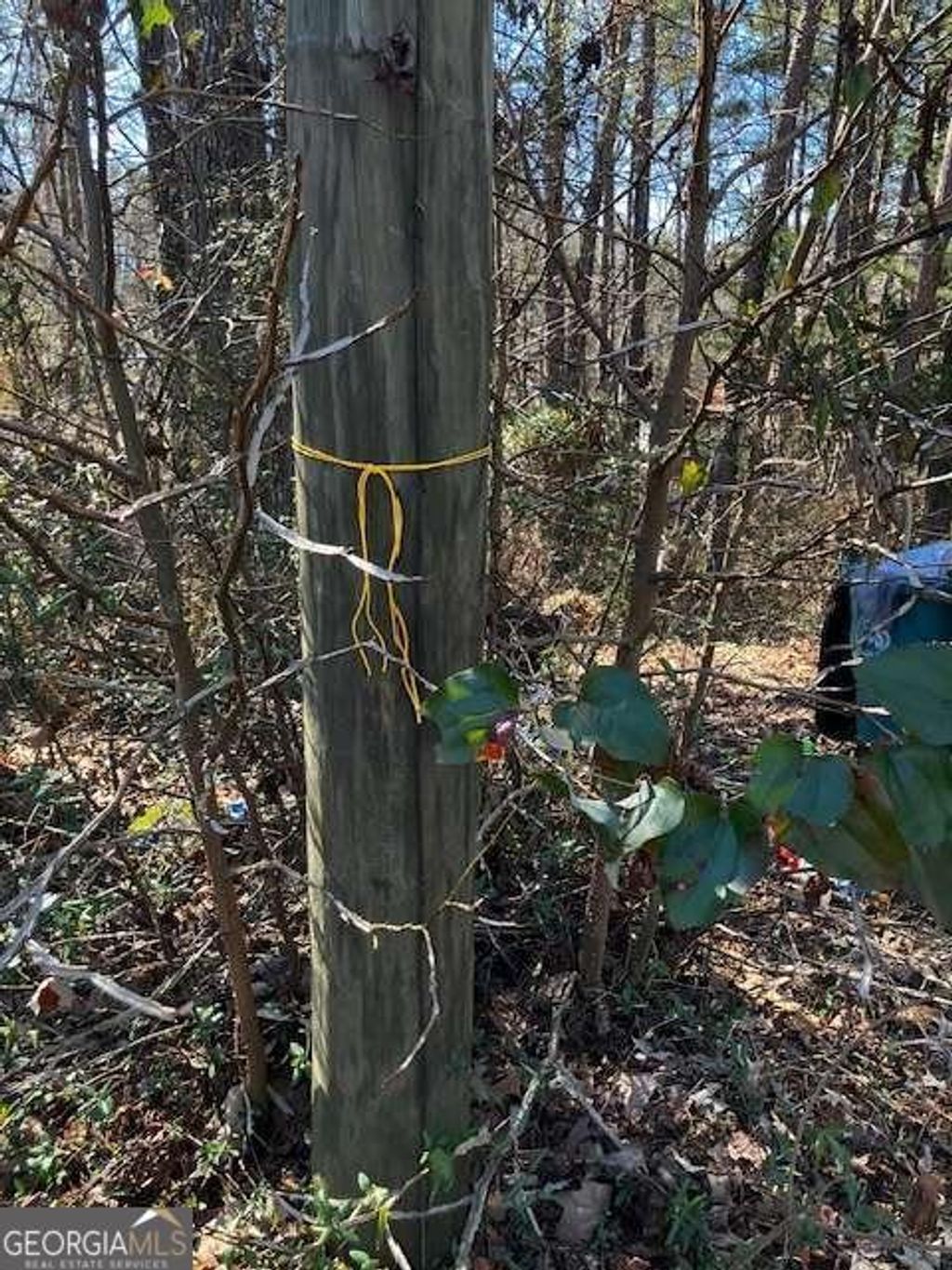 Photo of 339 N Century Drive, Martin, GA 30557 (MLS # 10700568)