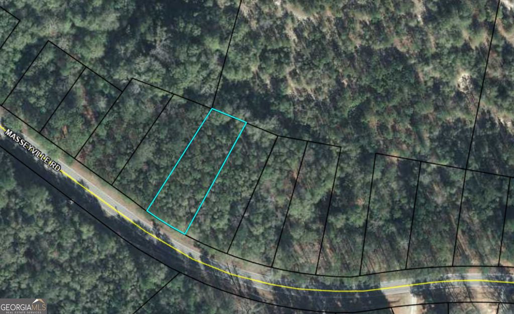 Photo of 3090 Masseyville Road, Macon, GA 31217 (MLS # 10720094)