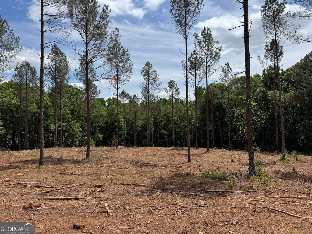 Photo of 0 Cromer Road, Dewy Rose, GA 30634 (MLS # 10813358)
