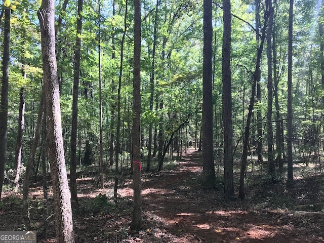 189 & 191 W Plantation DR