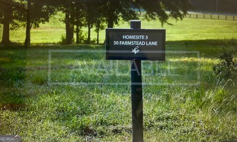 Photo of 30 Farmstead Lane #HOMESITE 5, Chattahoochee Hills, GA 30268 (MLS # 10717060)