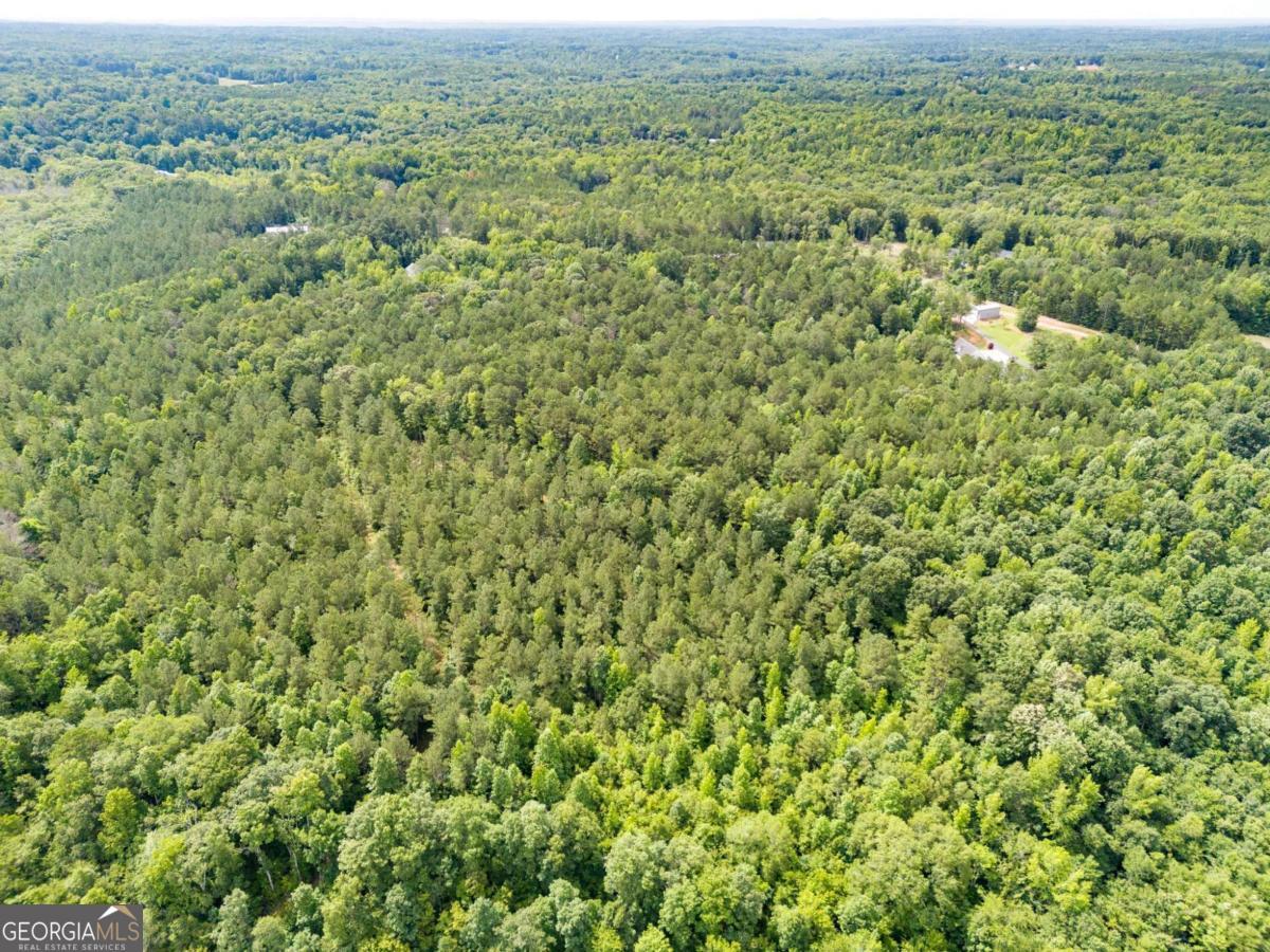0000 Wilson RD