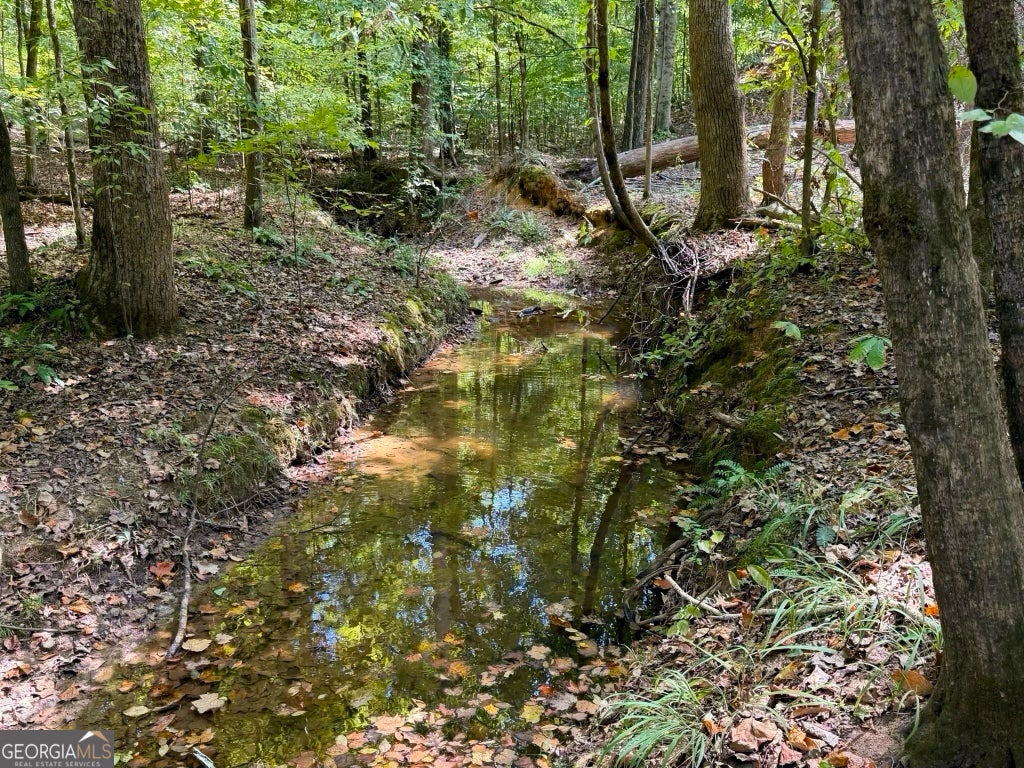 Photo of 11 Bunch Road, Tignall, GA 30668 (MLS # 10849654)