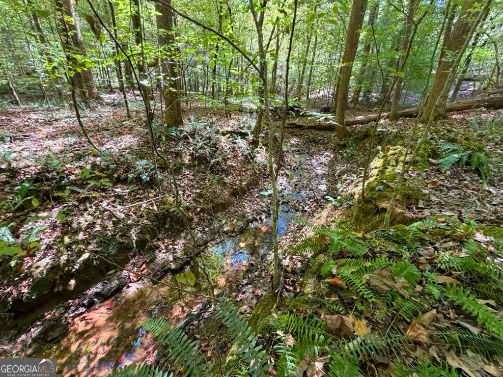 Photo of 11 Bunch Road, Tignall, GA 30668 (MLS # 10849654)