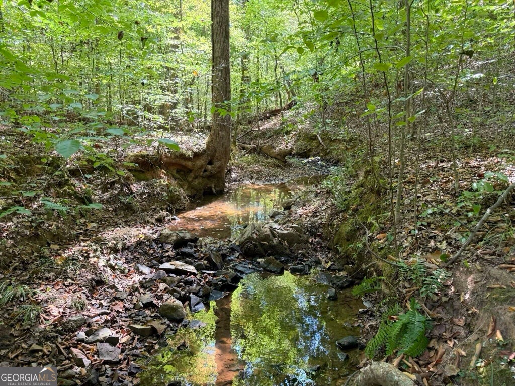 Photo of 11 Bunch Road, Tignall, GA 30668 (MLS # 10849654)