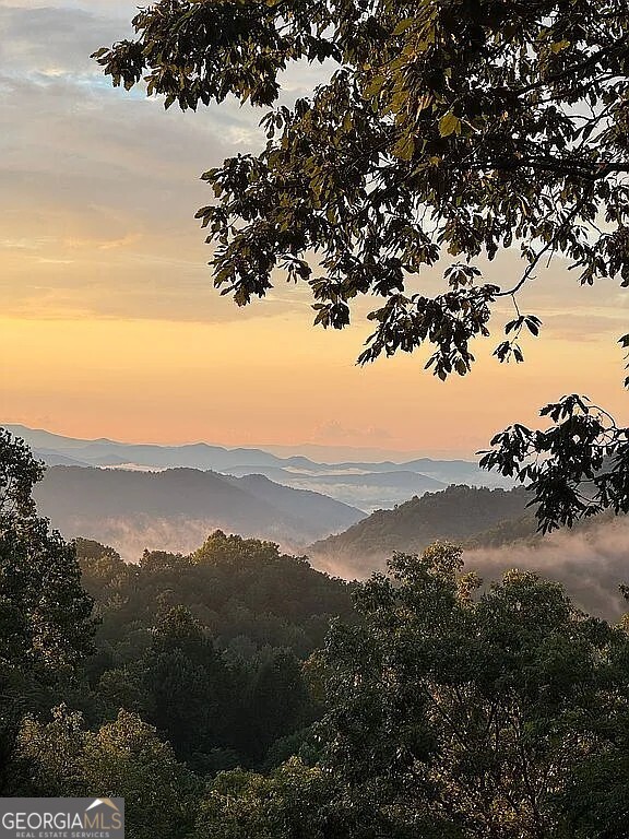 388 Alex Mountain DR