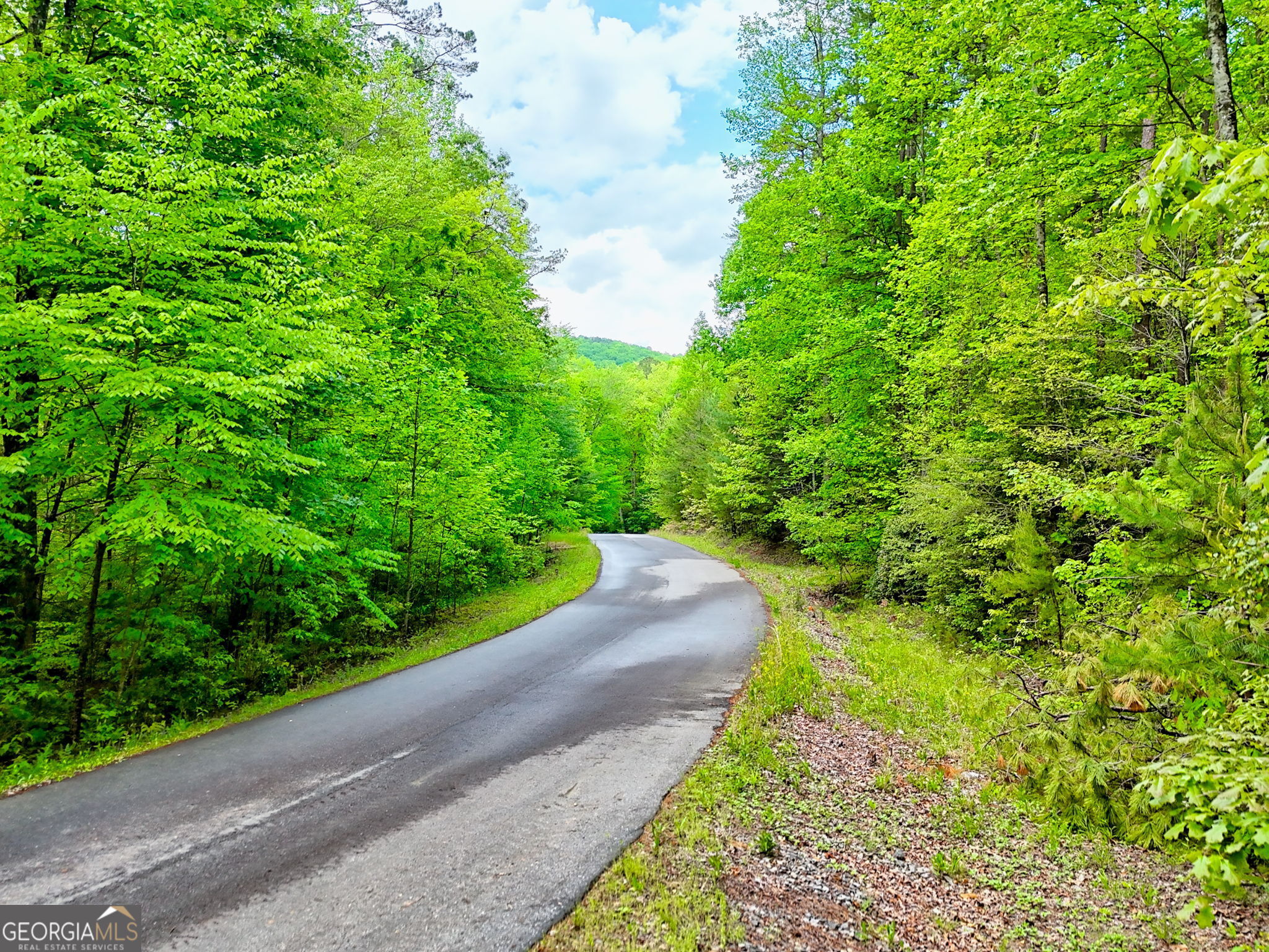 Clayton, Georgia 30525, United States, 5 Bedrooms Bedrooms, ,4 BathroomsBathrooms,Residential,Pending,126259