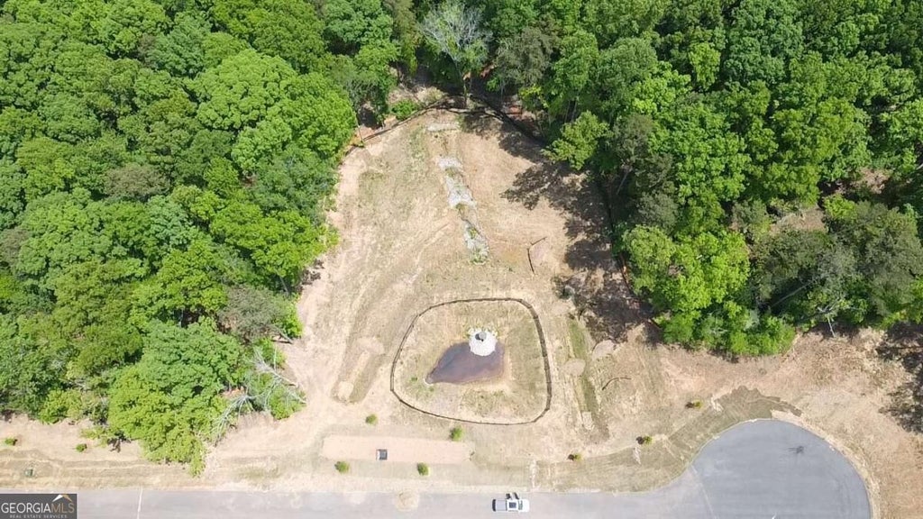 Photo of 240 Thompson Trail, Milton, GA 30004 (MLS # 10851148)