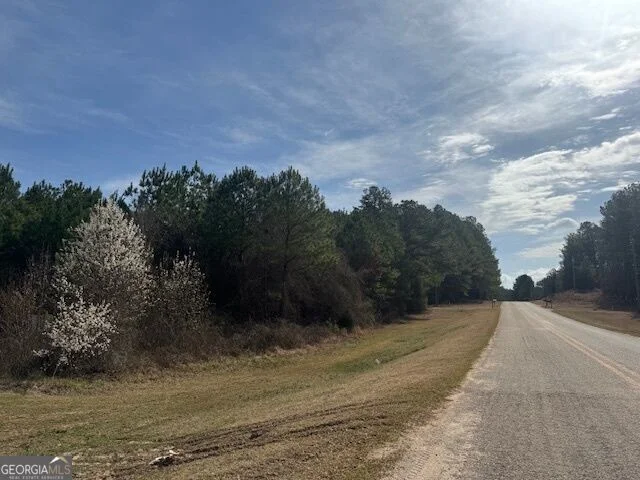 39 Brush Creek Park Road, Franklin, GA, 30217
