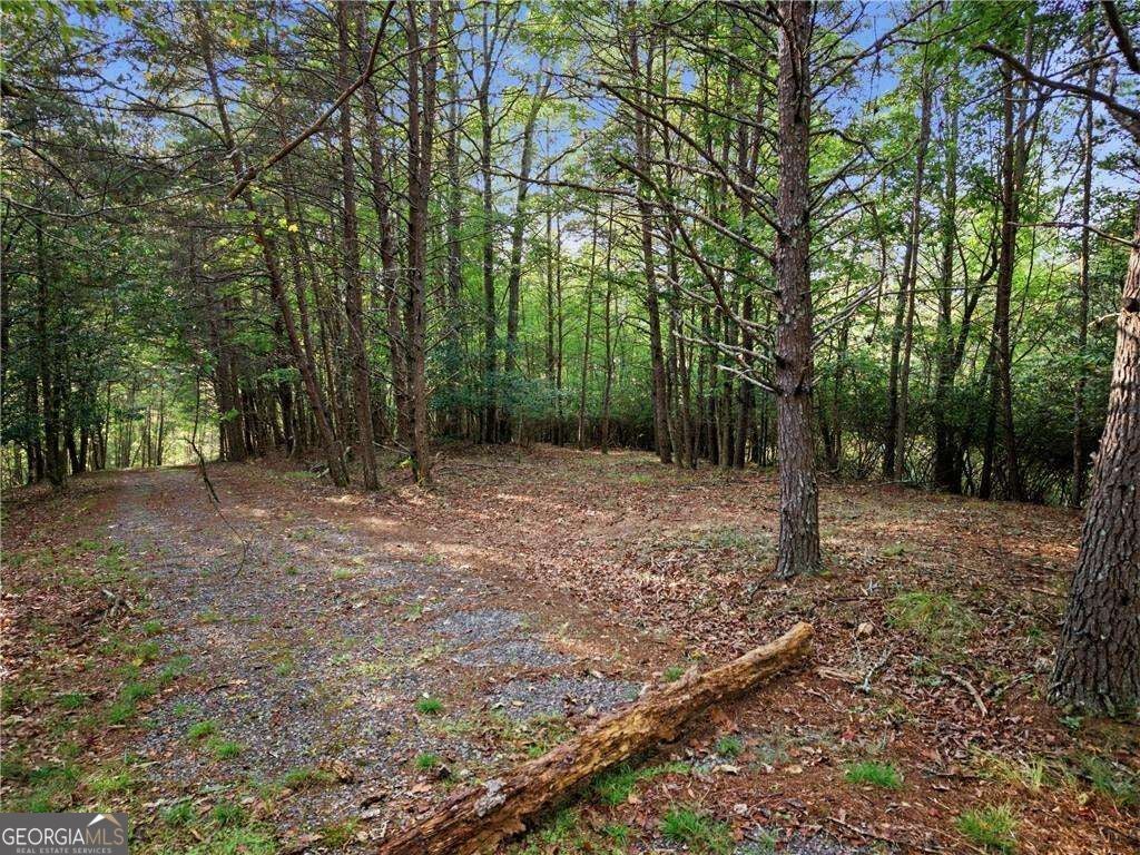 LOT 20 Horseshoe Bend RD