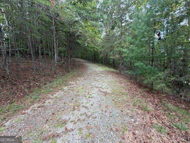 LOT 20 Horseshoe Bend RD