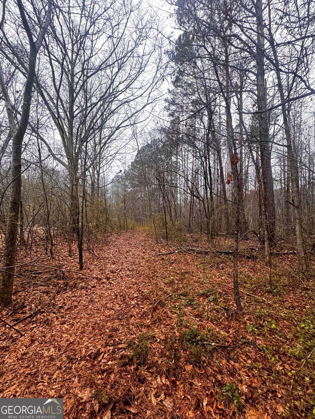 Photo of 0 Deegee Road, Carrollton, GA 30117 (MLS # 10699348)