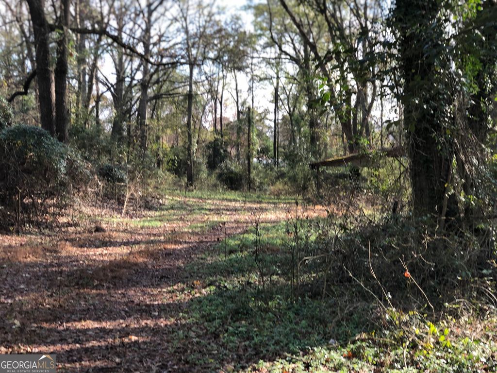 Photo of 216 E.MOORES CROSSING Rd, THOMASTON, GA 30286 (MLS # 10655642)
