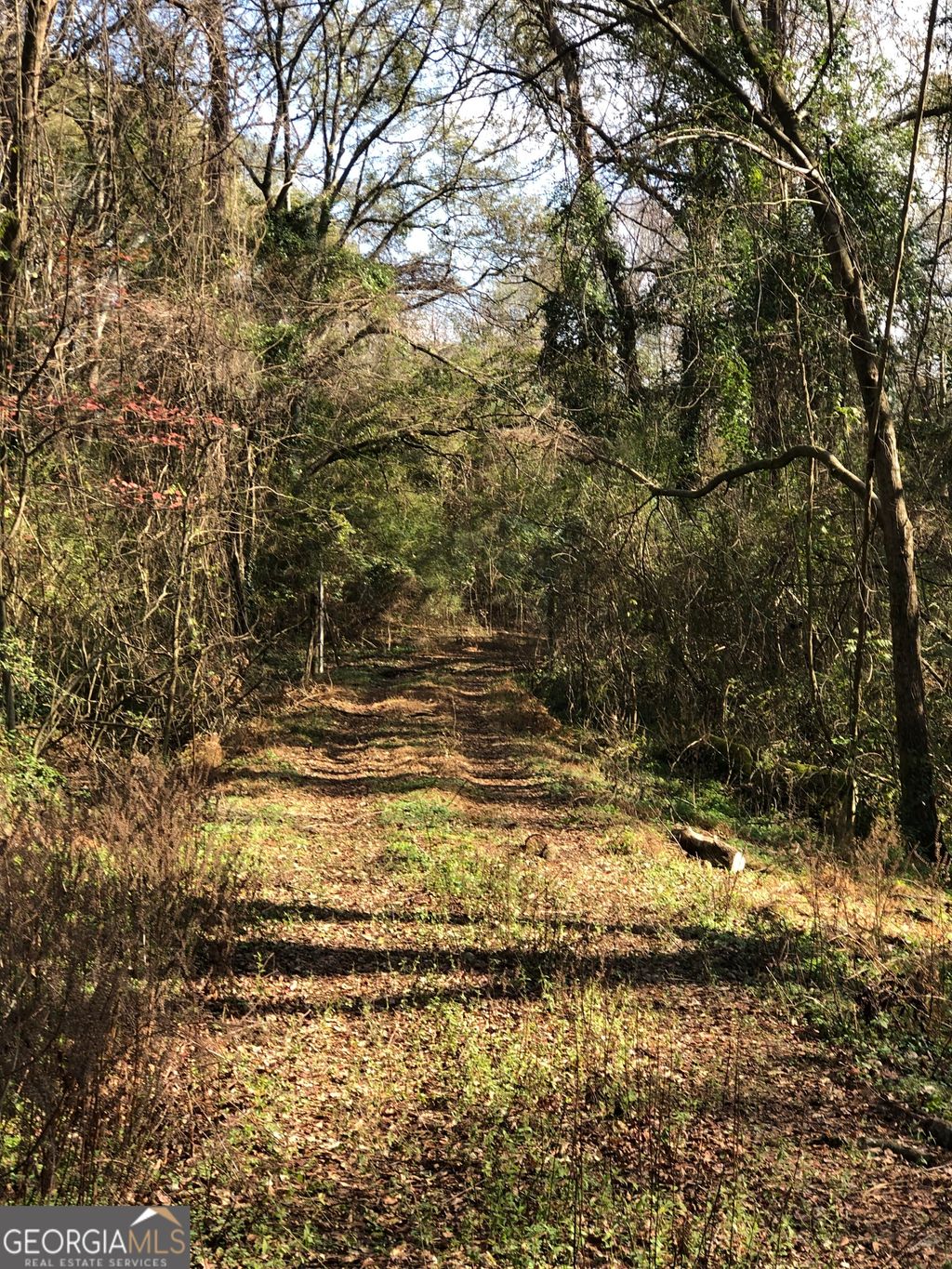 Photo of 216 E.MOORES CROSSING Rd, THOMASTON, GA 30286 (MLS # 10655642)