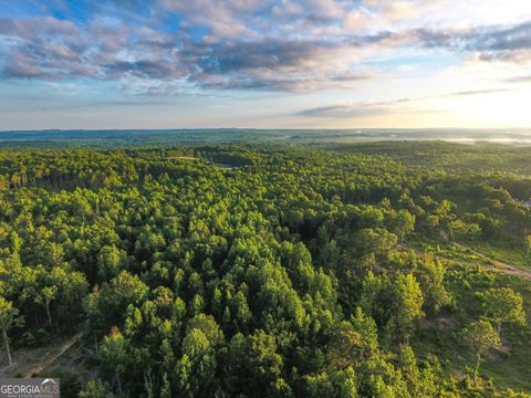 Photo of 0 Roy Dean Road, Buchanan, GA 30113 (MLS # 10564383)