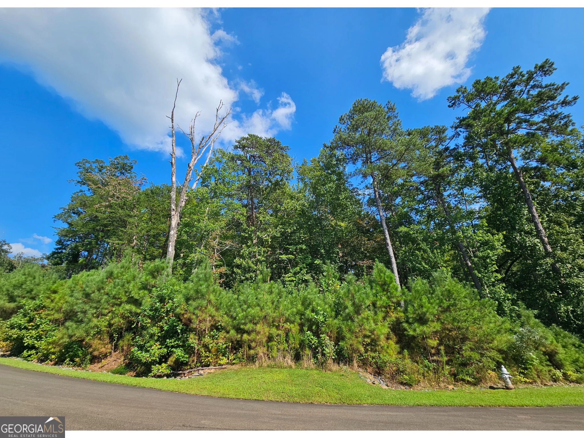 LOT 241 Carters View Lane, Ellijay, GA, 30540