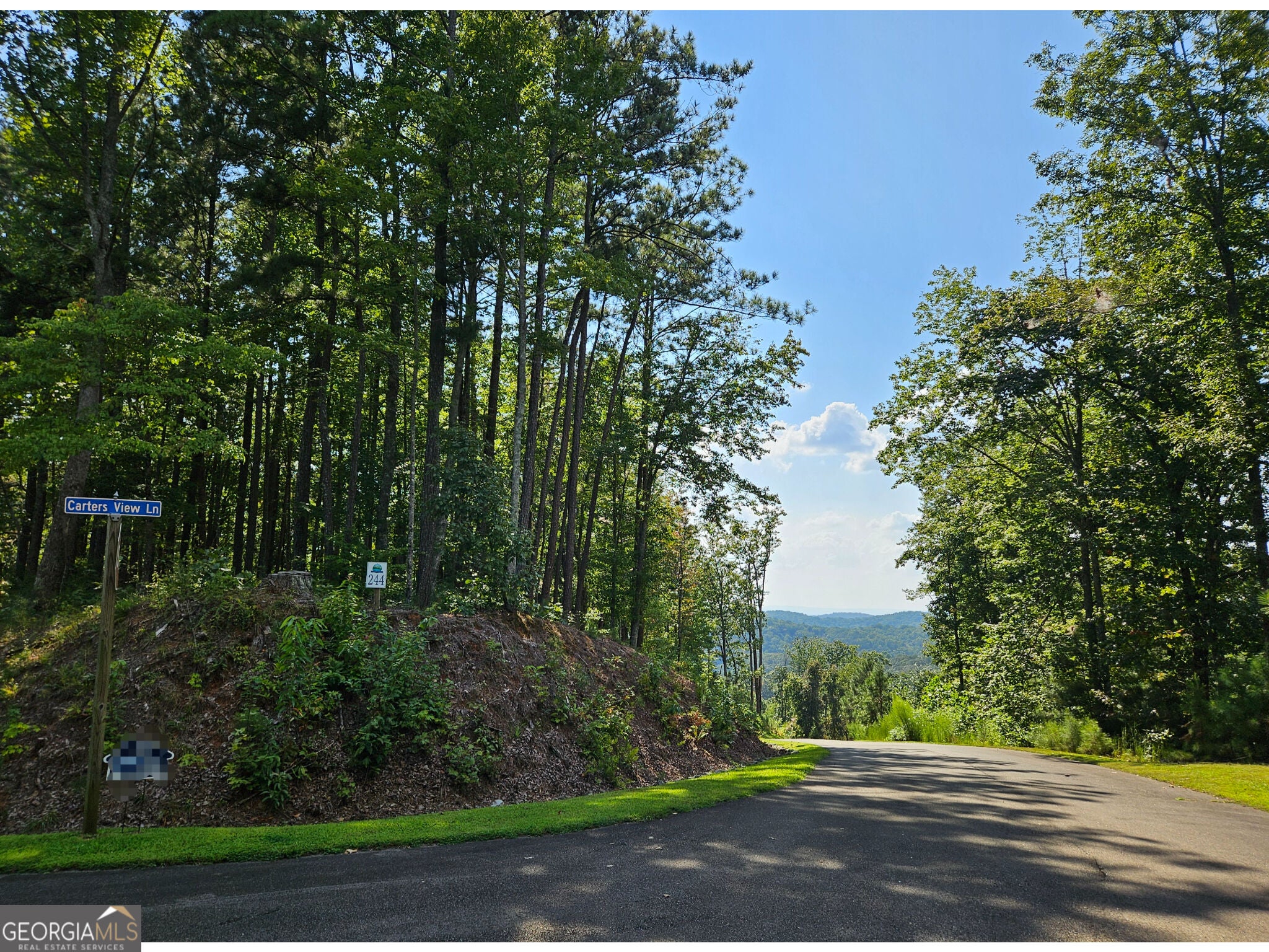 LOT 241 Carters View LN