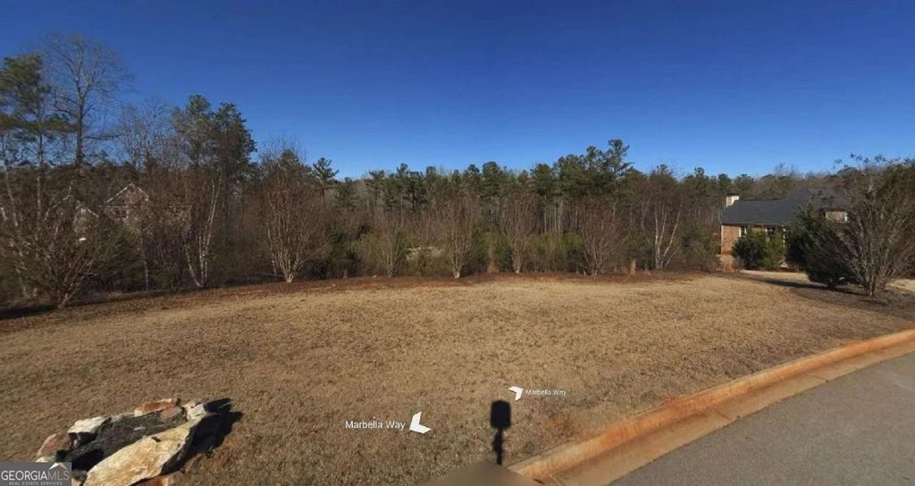 Photo of 314 Marbella Way, Mcdonough, GA 30252 (MLS # 10770572)