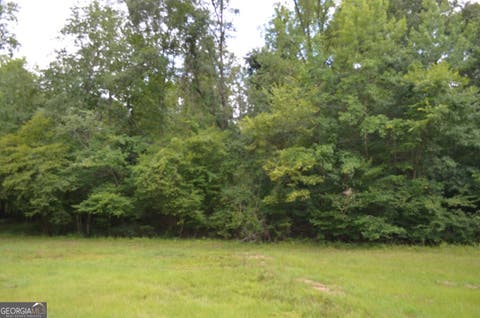 Photo of 13 Cardiff, Juliette, GA 31046 (MLS # 10805730)