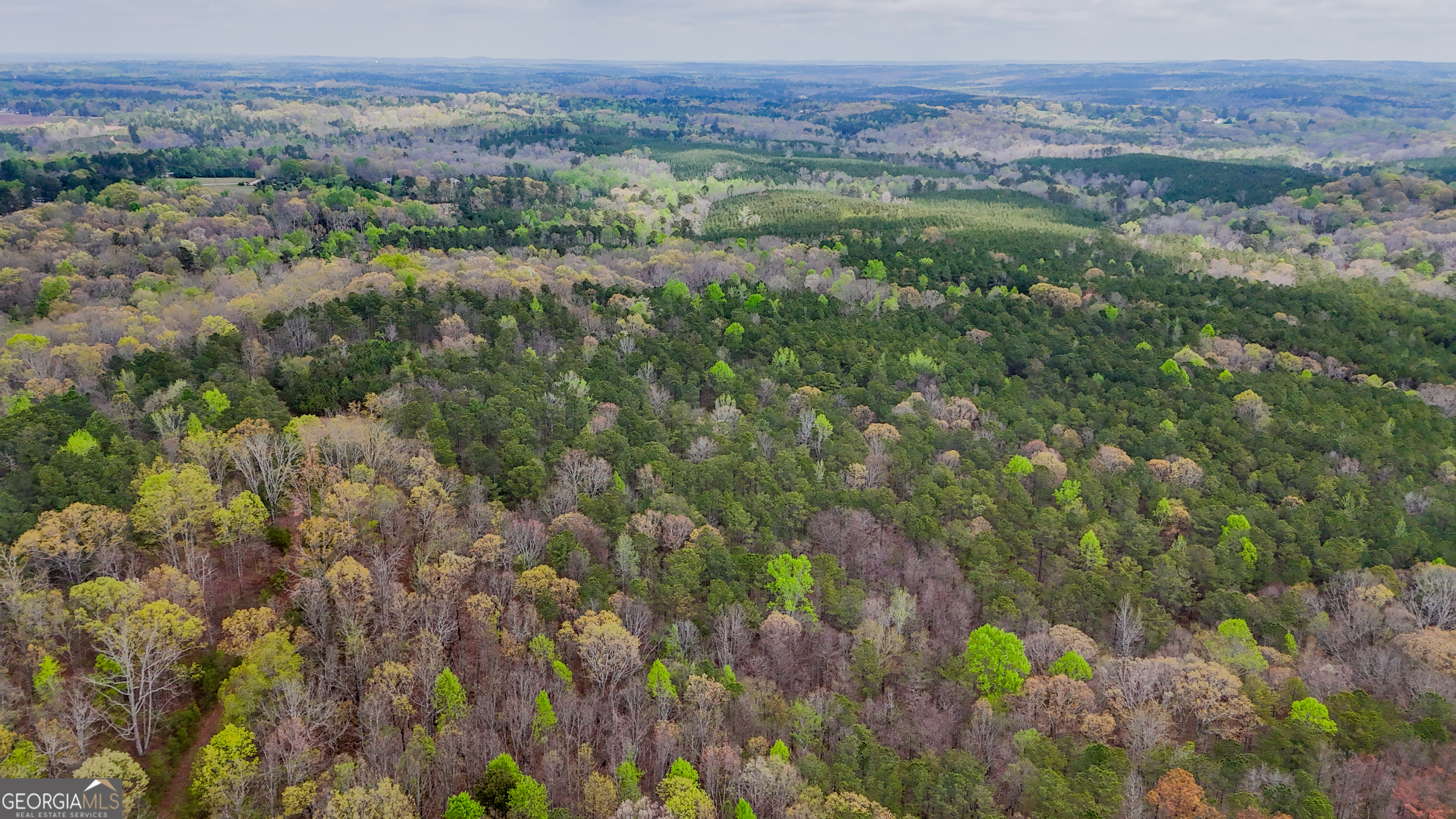 78 ACRES Cross Plains RD