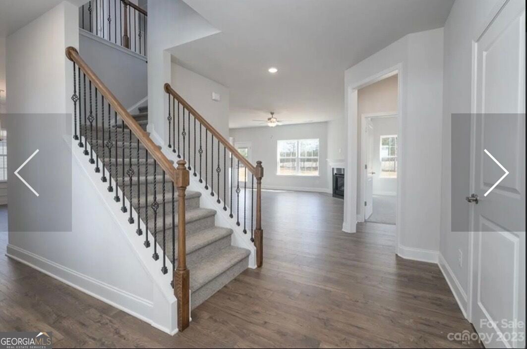 203 Blackberry CT