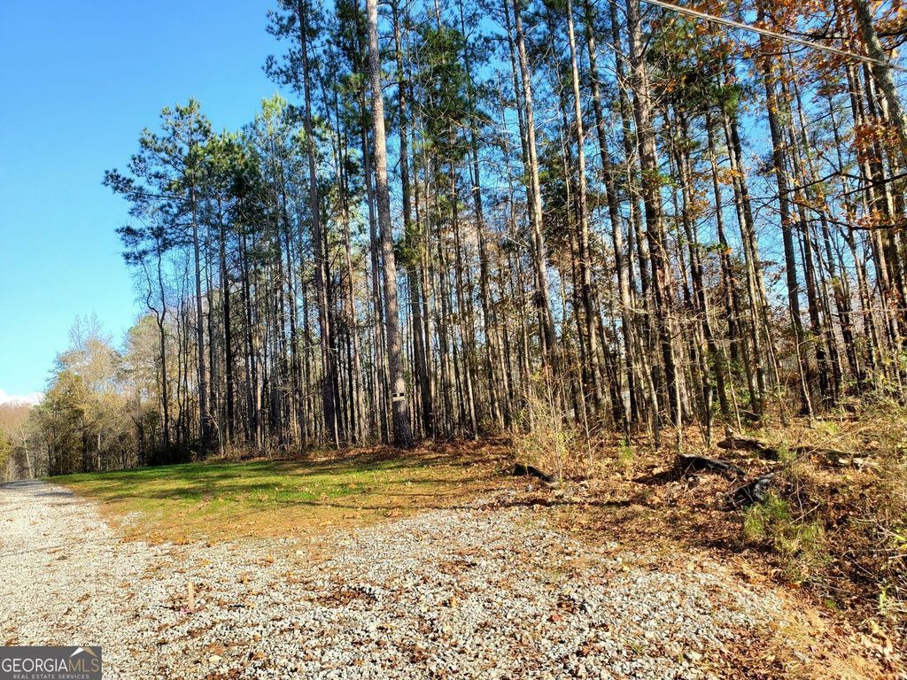 Photo of 6 State Rte 279, Fayetteville, GA 30214 (MLS # 10650061)