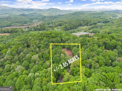 LOT 6 Meadowview RDG Clarkesville GA 30523