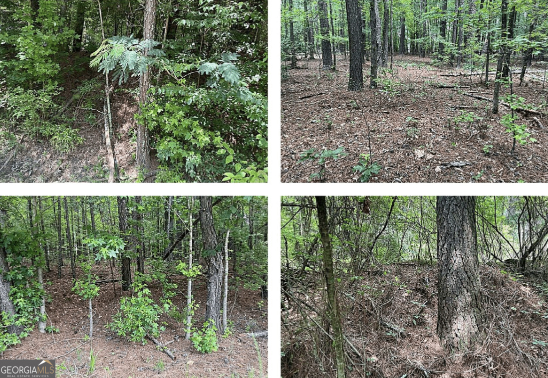Fee simple lots across the street from Fayette County Courthouse and just south off South Jeff Davis Drive. These two lots are sold together.