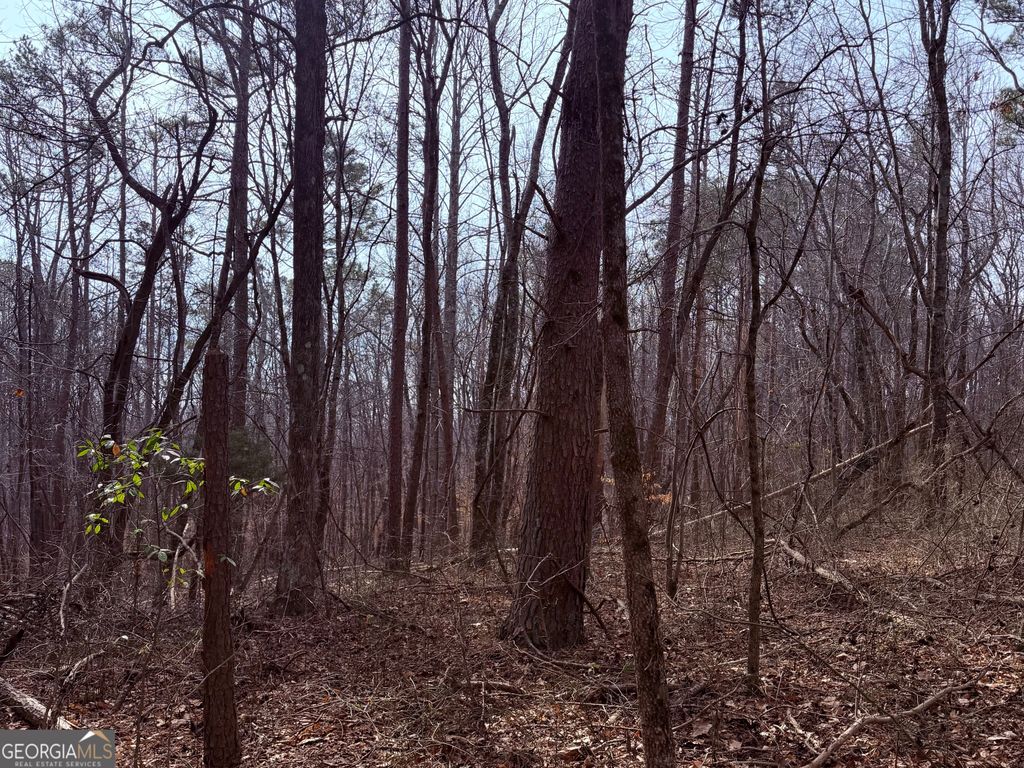 Photo of 967 Old Highway 100, Waco, GA 30182 (MLS # 10689055)