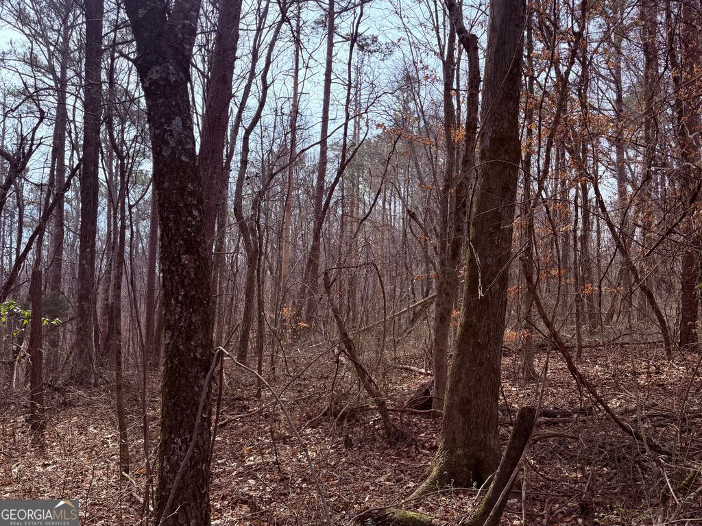 Photo of 967 Old Highway 100, Waco, GA 30182 (MLS # 10689055)